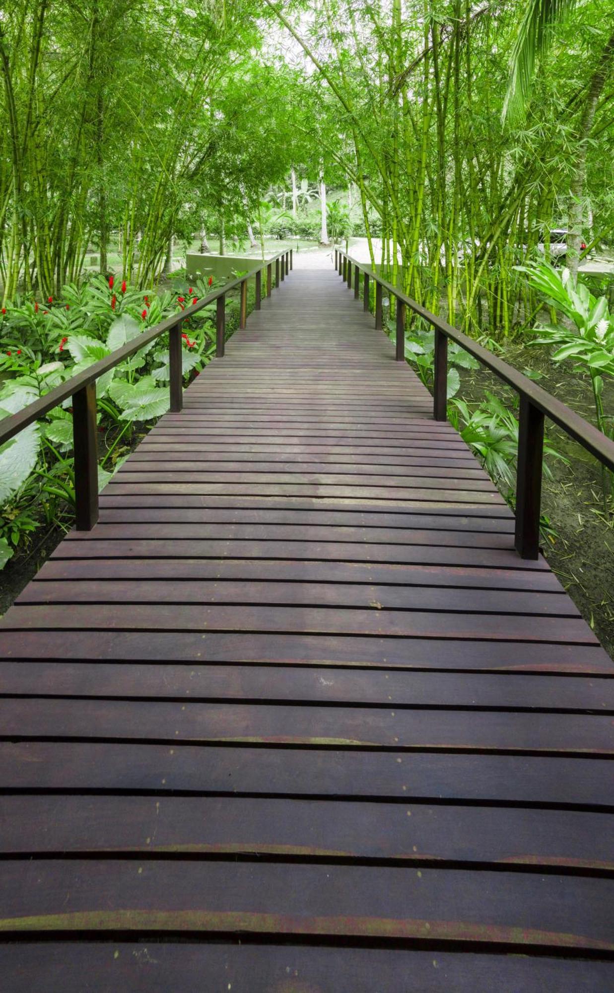 Casa Bambu Tayrona, 洛斯纳兰霍斯 外观 照片